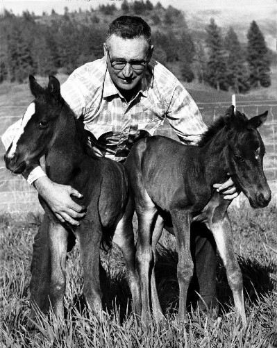 Holding your horses